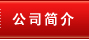 公司簡(jiǎn)介